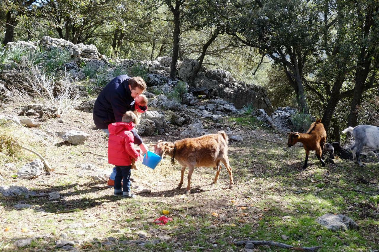 Agroturismo Son Alzines Villa Lluc Exterior foto